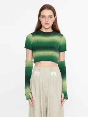 Striped Cropped Knit T-Shirt With Sleeves